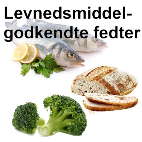 Levnedsmiddelgodkendte fedter